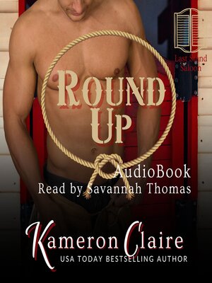 cover image of Round Up